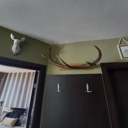 Apartment Location *